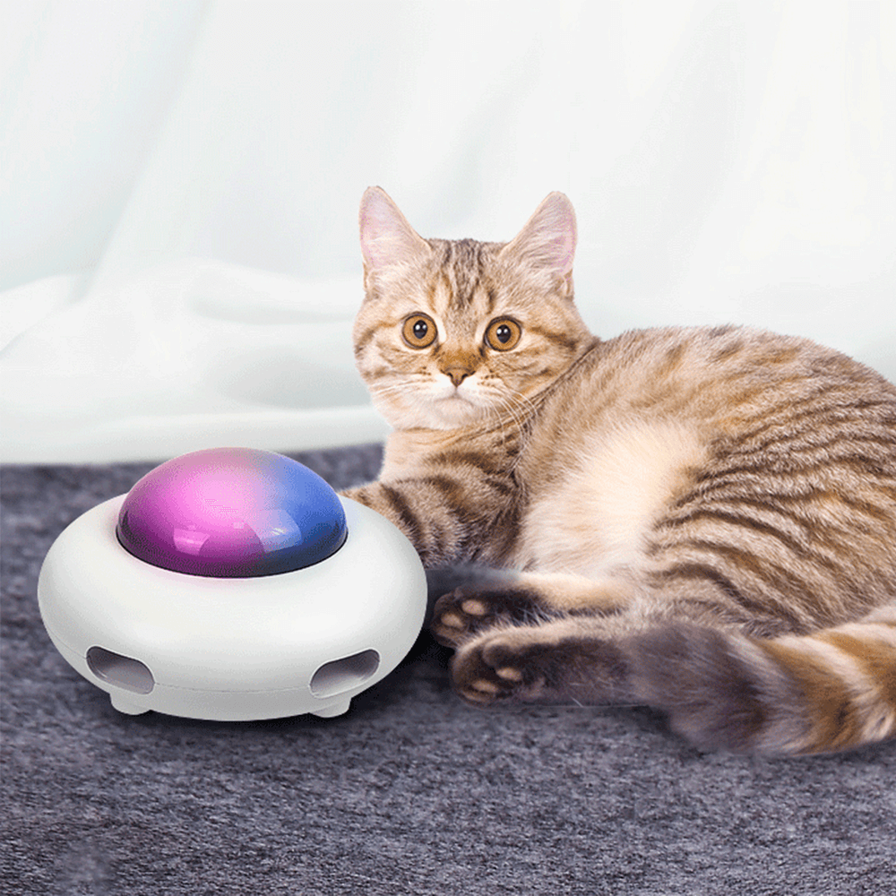 gid://shopify/MediaImage/33701389500656