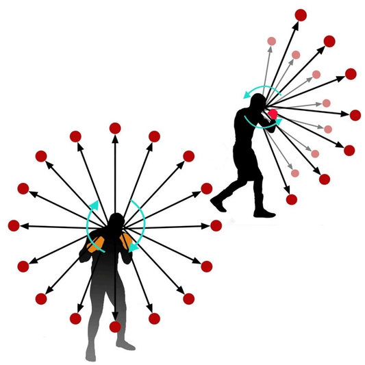 gid://shopify/MediaImage/33701407097072